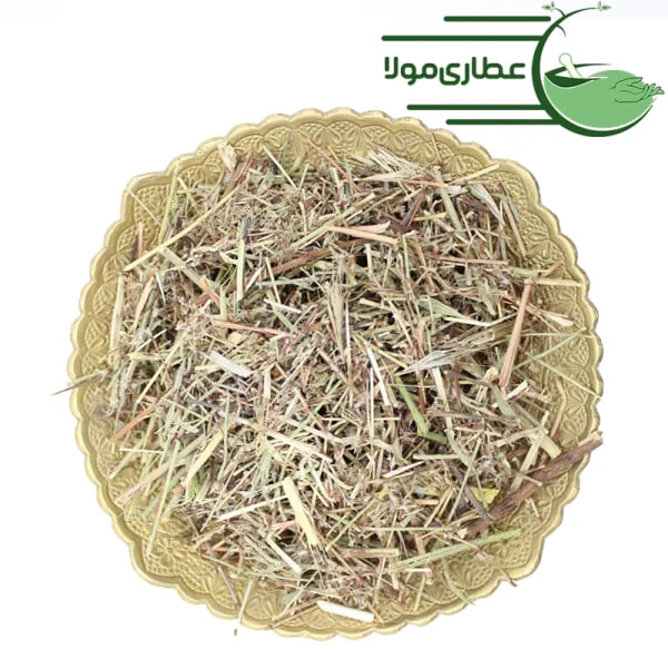 گیاه هفت بند