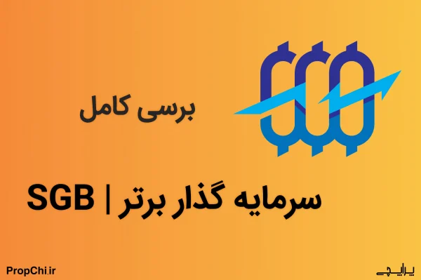 سرمایه گذار برتر