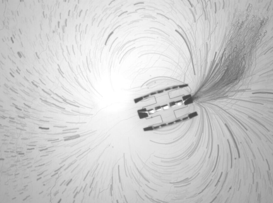 ساخت رباتی که از یک دانه نمک کوچک‌تر است