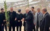پایان کمربند سبز ۵۰ هزار هکتاری تهران پس از ۳۸ سال / درختکاری روی کوه‌های شمال تهران کلید می‌خورد