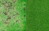 مزایای نصب چمن مصنوعی نسبت به چمن طبیعی