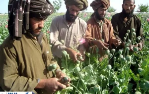 اخراج افغان‌ها برای ایران شر شد !