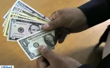 قیمت امروز دلار بازار را بهم ریخت (پنجشنبه ۳ مهر ۱۴۰۴)