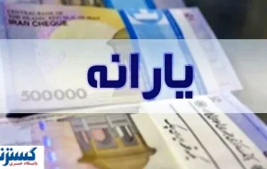 یارانه معیشتی این افراد اشتباهی حذف شد