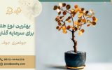 بهترین نوع طلا برای سرمایه گذاری + 7 روش امن