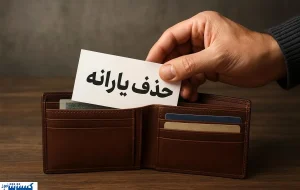 یارانه این خانوارها بی‌دلیل حذف شد؛ سریعاً اعتراض کنید