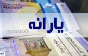 سرپرست جدید می‌تواند یارانه نقدی کودک را دریافت کند