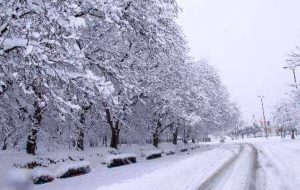 بارش شدید برف همدان را سفیدپوش کرد+ عکس