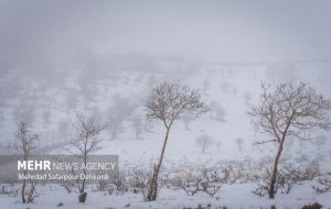 بوران شدید و سهمگین برف در ارتفاعات شهرستان تکاب