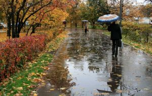 تهرانی‌ها آماده باشید/ سرما و کولاک در راه است