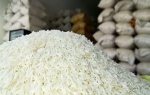 توزیع گسترده برنج 129 هزار تومانی در بازار آغاز شد توزیع گسترده برنج 129 هزار تومانی در بازار آغاز شد
