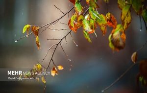 حکمی: بارش برف و باران خراسان رضوی را فرا می گیرد