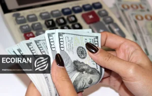 دلار تا کجا افزایشی خواهد بود؟ / پیش‌بینی مهم یک کارشناس اقتصادی