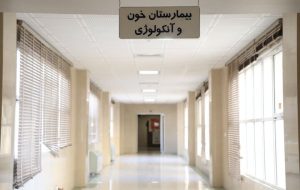 دهقان: ۶۰ پیوند موفقیت آمیز مغز استخوان در یزد انجام شد