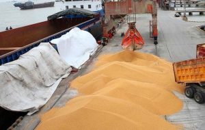 ذخیره 4 میلیون تن گندم به عنوان ذخایر استراتژیک