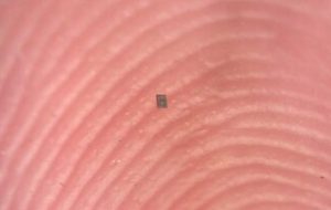 ساخت رباتی که از یک دانه نمک کوچک‌تر است