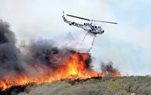 ماهواره خیام مقابل فاجعه جنگل‌های الیت ایستاد