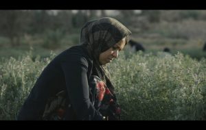 مستندی که به دل قاچاقچیان مواد مخدر زد؛ تلاش یک زن برای نجات همسرش