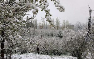هشدار کاهش ۱۵ درجه‌ای دما در ۲۲ استان با نفوذ توده هوای سرد از فردا