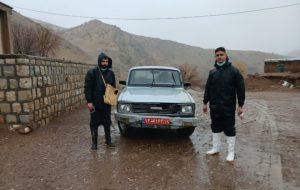 واکسیناسیون دام‌ها در هرسین برای مقابله با تب برفکی