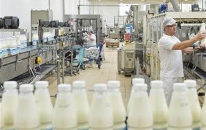 وعده دولت برای کاهش قیمت لبنیات و هشدار داغ درفش به صنایع