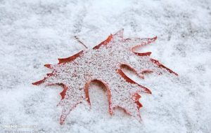 گزارش هواشناسی کشور در ۳۰ آذر ۱۴۰۴ / هشدار فوری هواشناسی صادر شد