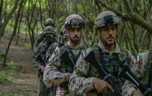 بازگشت کامل نیروهای امارات از یمن