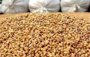 بسته حمایتی دولت برای تولیدکنندگان پس از حذف ارز 28500 بسته حمایتی دولت برای تولیدکنندگان پس از حذف ارز 28500