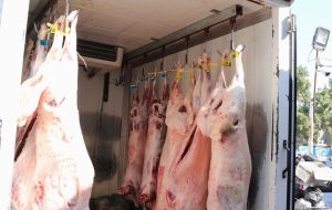 آغاز اجرای گسترده نظارتها بر فرآوردههای خام دامی در خوزستان آغاز اجرای گسترده نظارتها بر فرآوردههای خام دامی در خوزستان