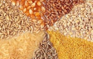بخشنامه سازمان توسعه تجارت ایران/ نرخ محاسبات حقوق ورودی نهاده دام و کالاهای اساسی تغییر کرد بخشنامه سازمان توسعه تجارت ایران/ نرخ محاسبات حقوق ورودی نهاده دام و کالاهای اساسی تغییر کرد