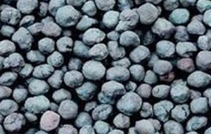 بزرگترین تامین مالی تاریخ بورس کالا فردا انجام می شود