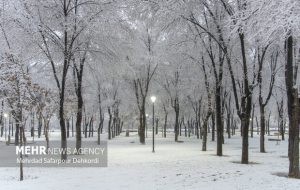 بوران برف و رعد و برق در شهر سهند