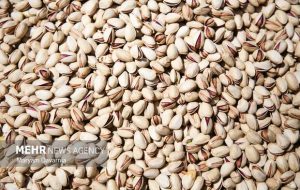 صادرات ۵ هزار تن پسته کرمان به اتحادیه اروپا صادرات ۵ هزار تن پسته کرمان به اتحادیه اروپا