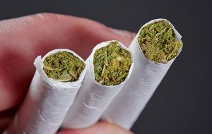 ناکامی قاچاقچیان مواد مخدر در انتقال محموله حشیش در شهرستان جاسک