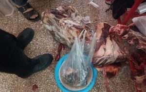 نظرعلیان: ۱۵۰ کیلوگرم گوشت غیرقابل مصرف در ایجرود کشف و ضبط شد