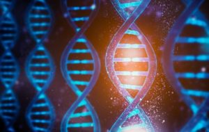 نقش ۵۵ درصدی ژنتیک در شکل دهی طول عمر