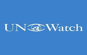 نهاد به‌اصطلاح دیده‌بان سازمان ملل متحد؛ جامعه مدنی یا نماینده سیاسی؟