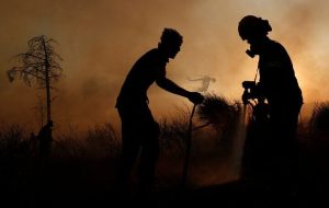 هشدار افزایش دما و وزش باد در شمال؛ احتمال وقوع آتش‌سوزی در جنگل‌ها