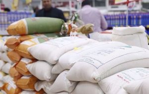 واردات برنج افزایش یافت