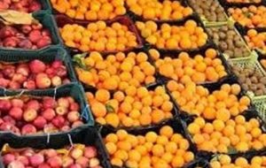 آغاز عرضه میوه شب عید از امروز در سراسر کشور