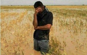 اختصاص 30 همت برای جبران خسارات کشاورزان اختصاص 30 همت برای جبران خسارات کشاورزان