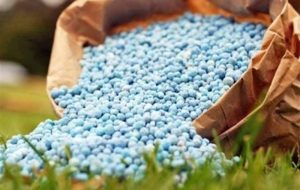 رشد 89 درصدی قیمت اوره / جهان در آستانه تورم مواد غذایی