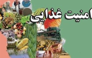 زیرساخت‌های امنیت غذایی کشور مستحکم است