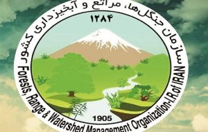 شهادت فرمانده یگان حفاظت منابع طبیعی کشور شهادت فرمانده یگان حفاظت منابع طبیعی کشور