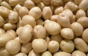 صادرات این محصول پرمصرف ممنوع شد