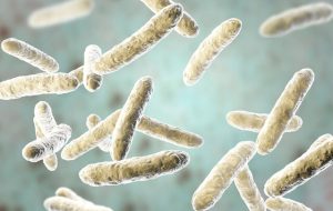 ابداع روشی کم‌هزینه برای شناسایی باکتری‌های مقاوم به آنتی بیوتیک