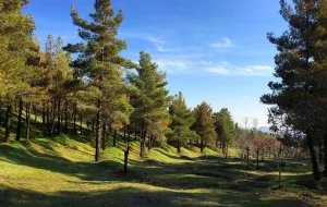 تعطیلی چهار بوستان جنگلی تهران در روز سیزده بدر/ اطلاعیه مهم شهرداری تهران