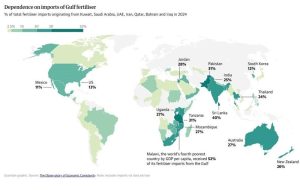 جزئیات وابستگی غذای جهان به تنگه هرمز/ موج قیمتی بر همه تاثیرگذار است