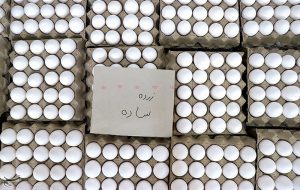 دستور وزیر کشاورزی برای اصلاح قیمت تخم مرغ