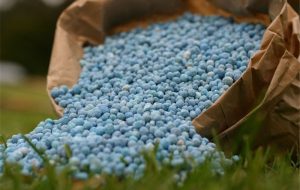 دغدغه‌های تولید کود در روزهای سخت؛ ضرورت بازنگری روند تخصیص ارز و مجوز